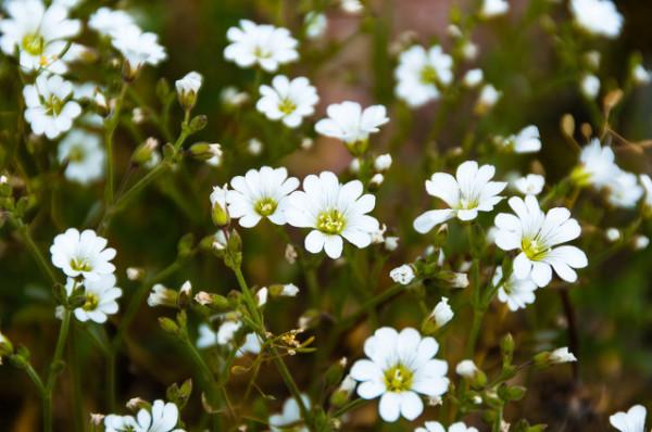 中國20個美豔絕倫的景觀,你去過10個就算旅遊達人啦 中國20個美豔絕倫的景觀,你去過10個就算旅遊達人啦