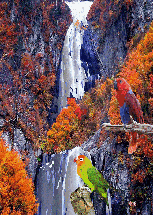 美呆的人間仙境