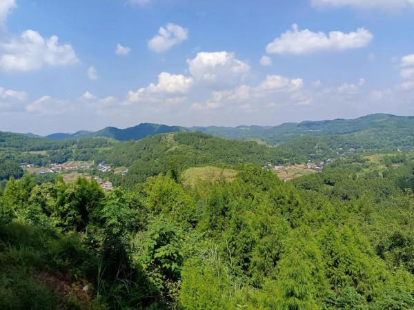 你知道四川盆地的盆底在哪嗎? 你知道四川盆地的盆底在哪嗎?