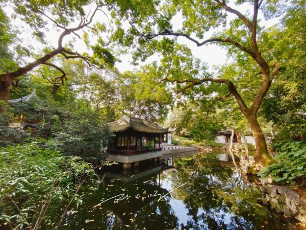 上海市嘉定區有一座著名的“江南園林”，門票很便宜，遊客卻不多