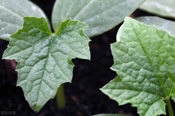 總是控制不住地想吃東西，很有可能是&OpenCurlyDoubleQuote;情緒性飢餓&rdquo;