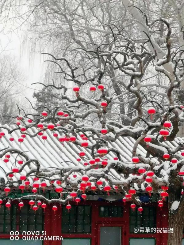 京城冬雪會作畫