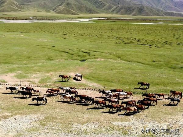 7天假期,自駕遊獨庫公路全程,如何安排線路?(附路書及地圖) 7天假期,自駕遊獨庫公路全程,如何安排線路?(附路書及地圖)