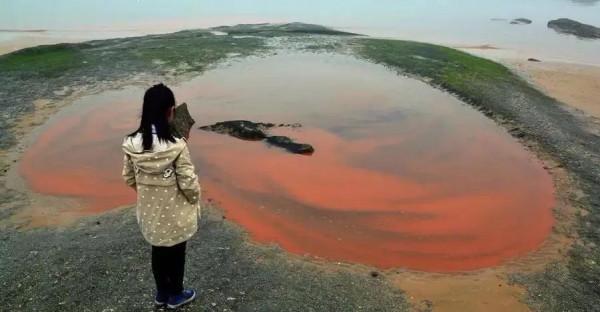 《未知世界》科學家；發現地球正變得越來越暗