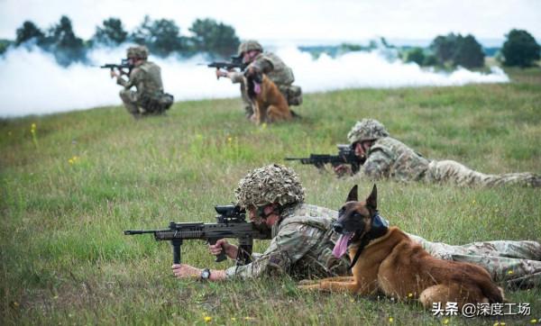 俄軍出動88萬大軍才能取勝?英國威脅俄羅斯:不要低估英國鬥志 俄軍出動88萬大軍才能取勝?英國威脅俄羅斯:不要低估英國鬥志