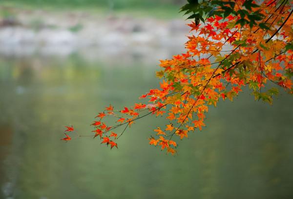 與人相處,忌諱討論這三個話題 與人相處,忌諱討論這三個話題