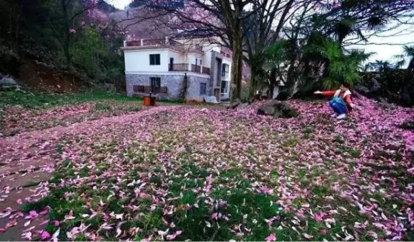 ​陽春3月，草長鶯飛！3月最值得去的12個旅行地，不需攻略，不費錢