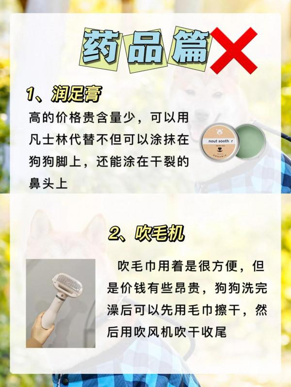 狗狗容易生病的原因，竟然是因為沒有注意這些