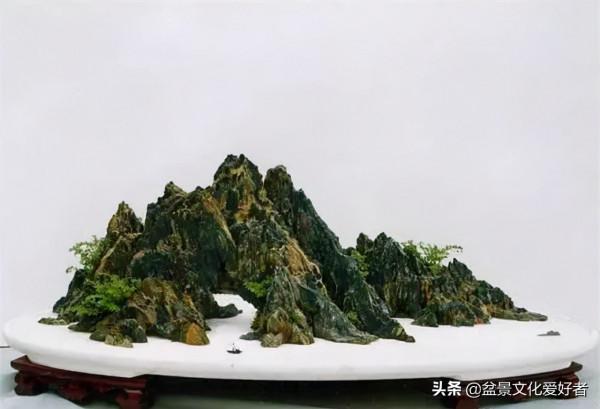 將大自然融入盆景,山石很重要 將大自然融入盆景,山石很重要