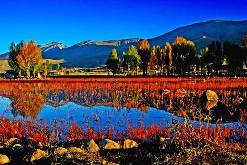 請您欣賞 風景美如畫 如此美麗