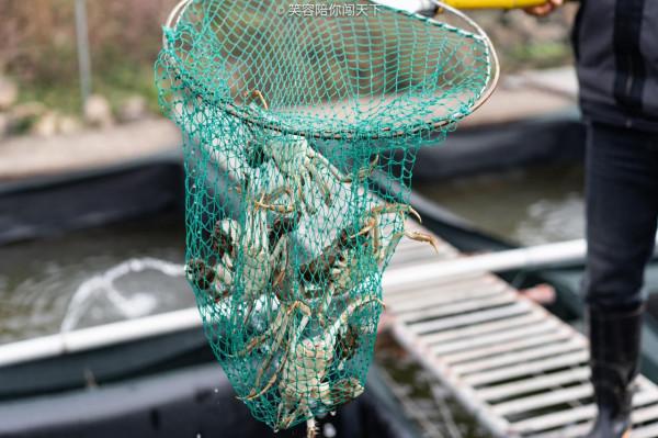 17度的建德都有啥好玩的？不妨來這6個地方，去過都說好