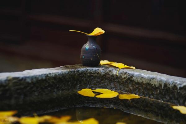 一句“讓高興的人聽了難過，讓難過的人聽了高興”的話！（高人）