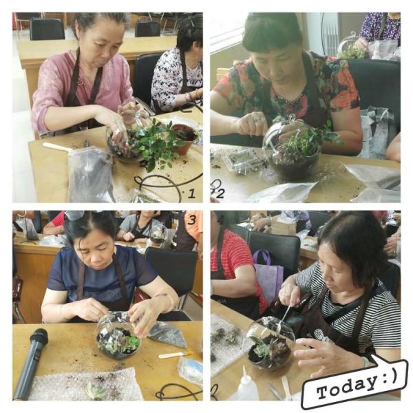 老年人為什麼都開始玩“微景觀”? 老年人為什麼都開始玩“微景觀”?