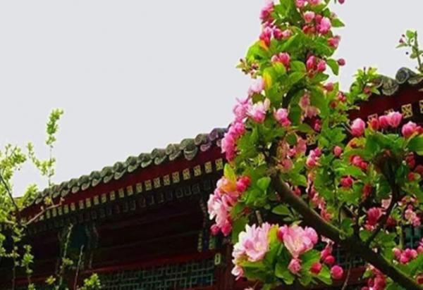 周總理病逝12年後,鄧穎超寫回憶文章,揭開他們真實婚姻生活狀態 周總理病逝12年後,鄧穎超寫回憶文章,揭開他們真實婚姻生活狀態