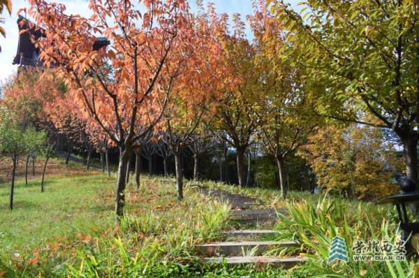 九月九|愛在重陽,福地樓觀 九月九|愛在重陽,福地樓觀