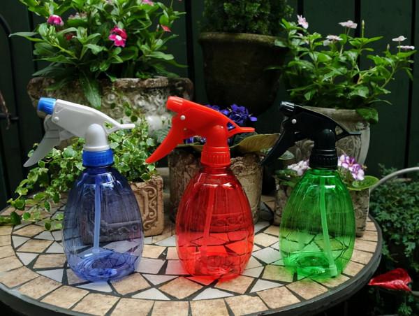 澆花用雨水、池塘水,還是自來水?內行人說完,才發現都叫錯了 澆花用雨水、池塘水,還是自來水?內行人說完,才發現都叫錯了