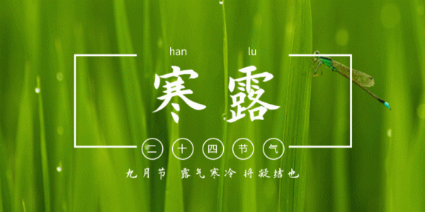 寒露後吃“神仙葉”!89歲名中醫常吃這碗粥,氣色紅潤、精力充沛 寒露後吃“神仙葉”!89歲名中醫常吃這碗粥,氣色紅潤、精力充沛