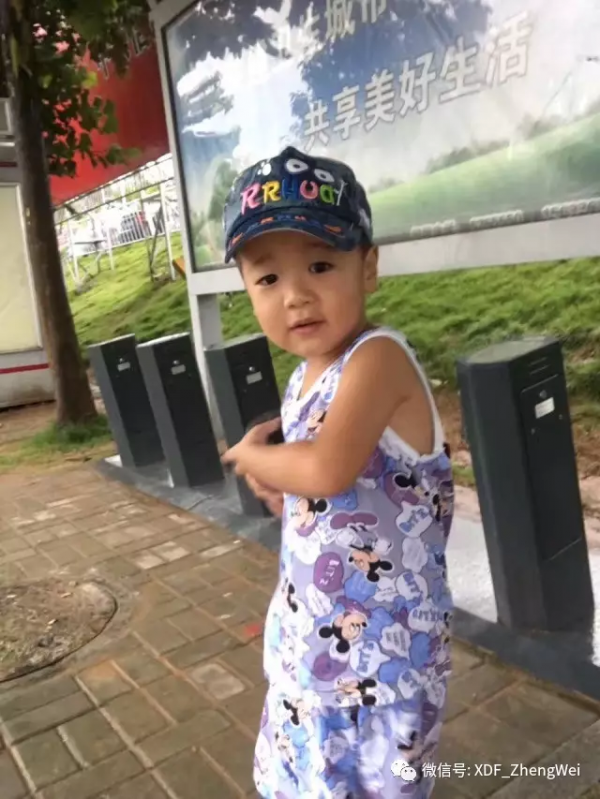 你雖每天看不見小樹苗的成長，但日積月累它就是參天大樹