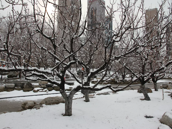朝陽遊園推薦：大望京公園