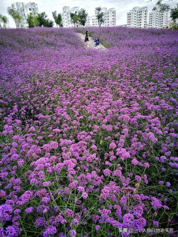 被評為“亞洲最佳旅行地”第一的甘肅，到底有多驚豔