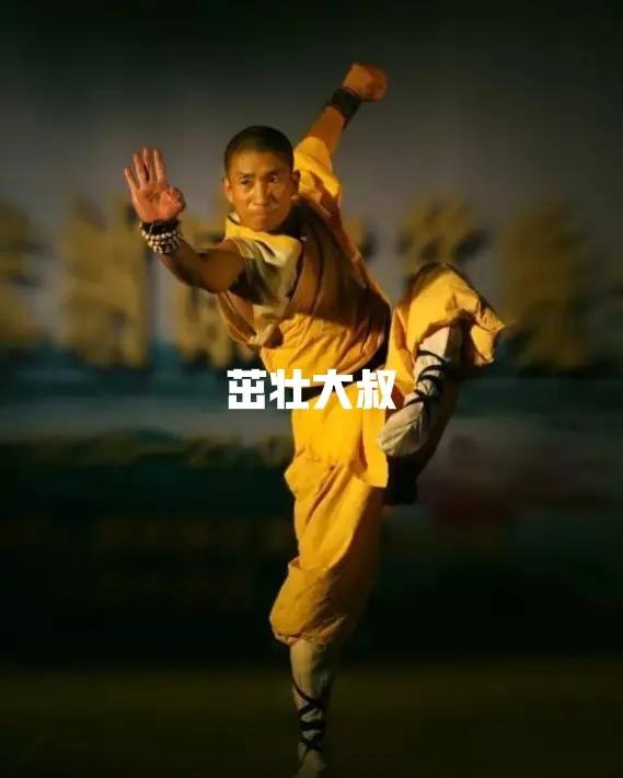 少林秘傳——鐵拳功