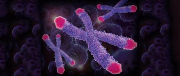 人類為何不能永生?科學家:人類都是“打工仔” 人類為何不能永生?科學家:人類都是“打工仔”