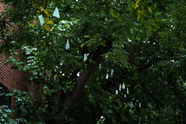 翡翠之聲充塞耳、滿眼盡為翡翠綠—何雲昌大型裝置再現故鄉的森林