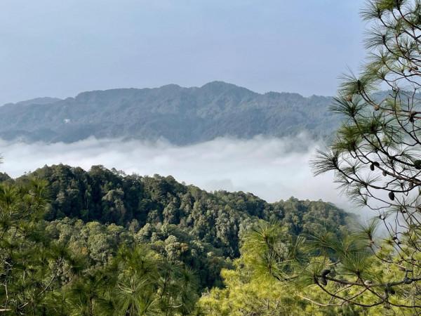 登雲峰山“追雪”