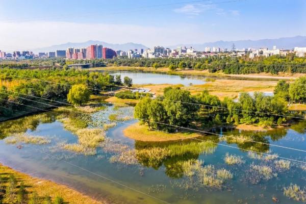 快來！您想欣賞的秋景，都在濱河公園