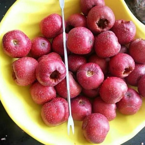 easy•山楂糖雪球「慢品人間煙火色」 easy•山楂糖雪球「慢品人間煙火色」