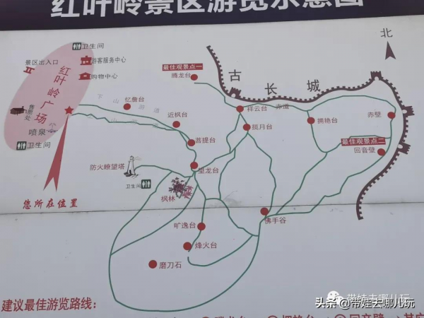 每年僅開放一個月的賞紅景點,到底值不值得去? 每年僅開放一個月的賞紅景點,到底值不值得去?