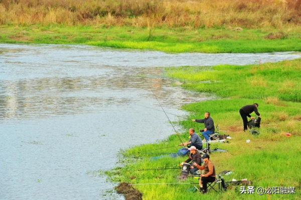 不可思議！已是深秋，月兒灣公園卻如此多彩，恰似夏日還未走遠