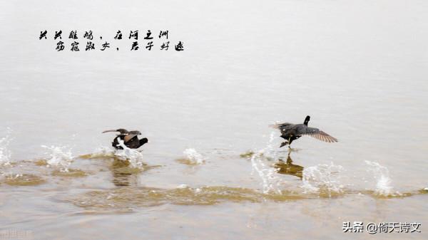 古來最好的告白詩詞，問世間情為何物