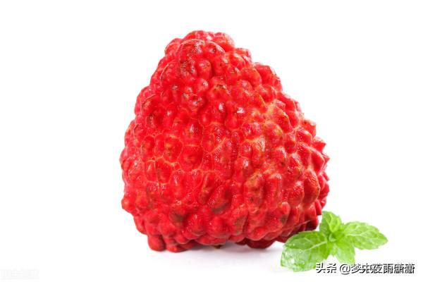 百戰不死,獅子座 百戰不死,獅子座