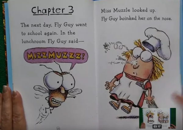 又見寶藏，我給大家找來了好多分級和繪本精講影片