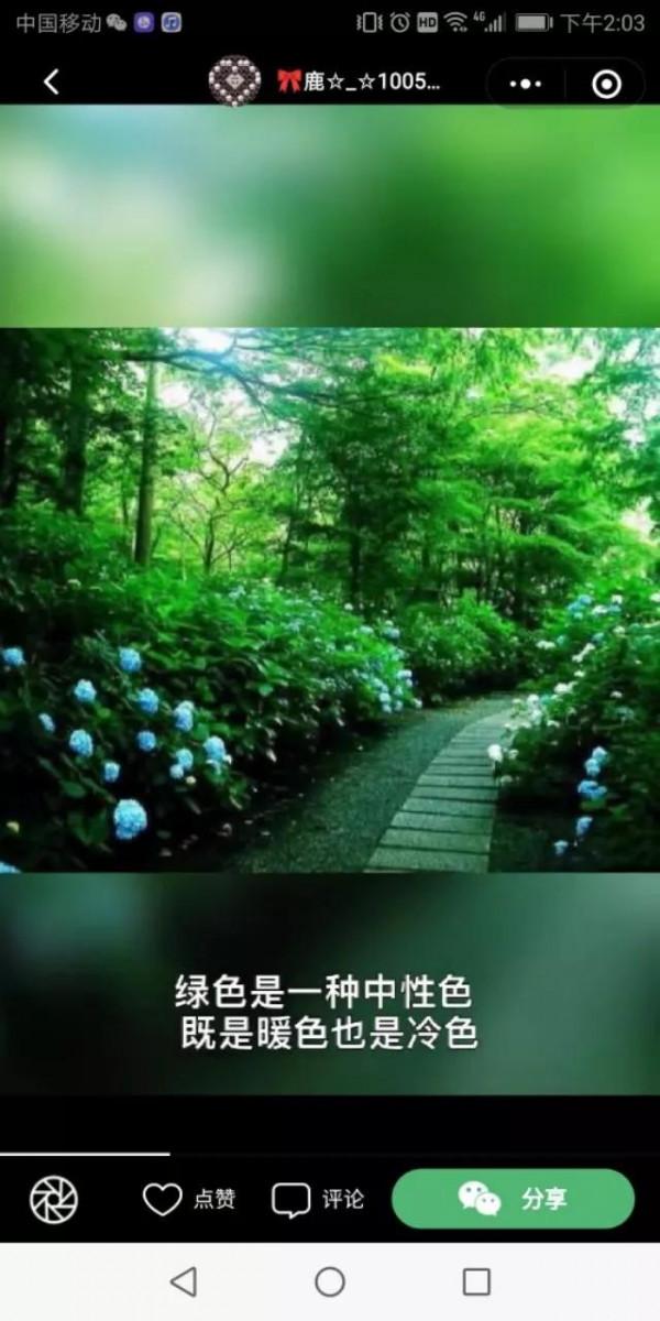 七絕《相思淚》