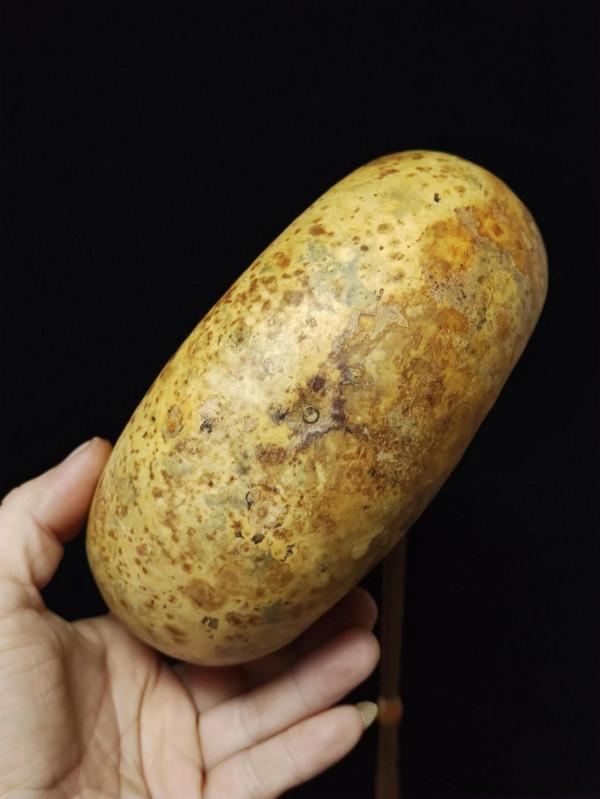 最新力作～雙塞天裂長嘴花扁