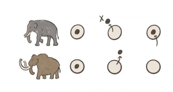 美國科學家欲在6年內復活猛獁象，並放生北極，這真的好嗎？