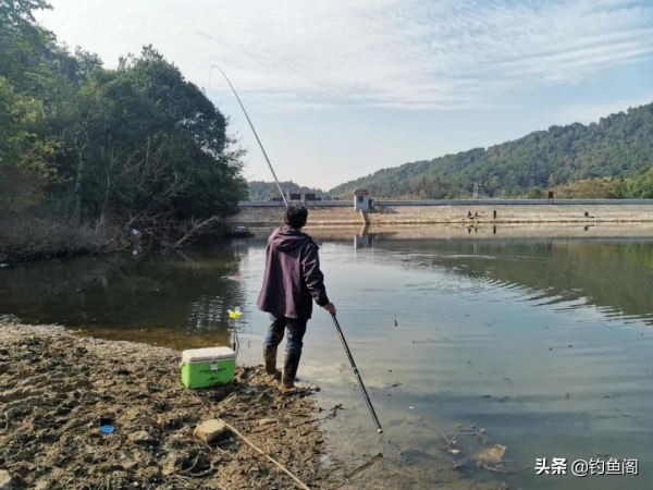 誰說冬季釣魚必須釣深?這種幾十公分的淺灘照樣能上大鯽魚 誰說冬季釣魚必須釣深?這種幾十公分的淺灘照樣能上大鯽魚