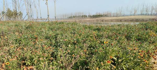 氣候，真的出現反常了嗎？