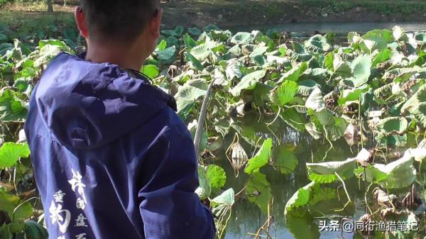 天冷了，你是否也在心心念念苦尋一款戳草洞的優秀傳統釣竿？