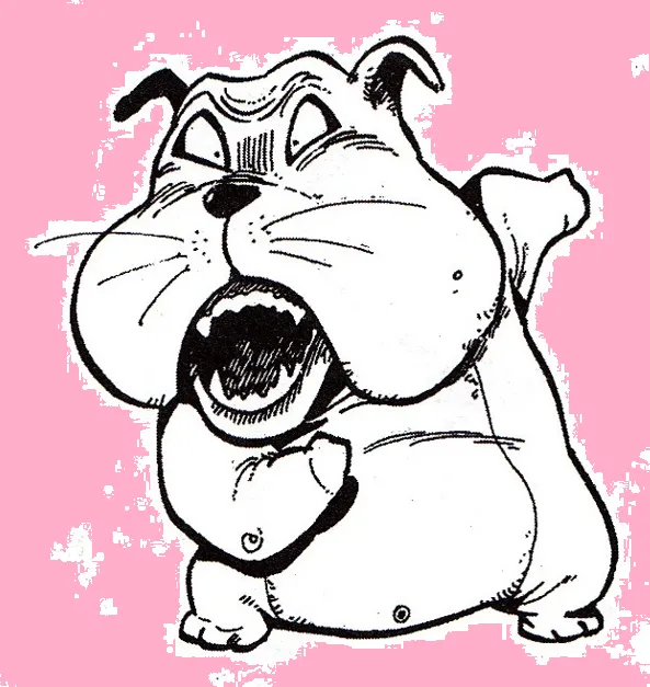 可愛的小動物 可愛的小動物