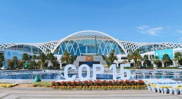 昆明的“食物多樣性”,也可以開個“cop15” 昆明的“食物多樣性”,也可以開個“cop15”