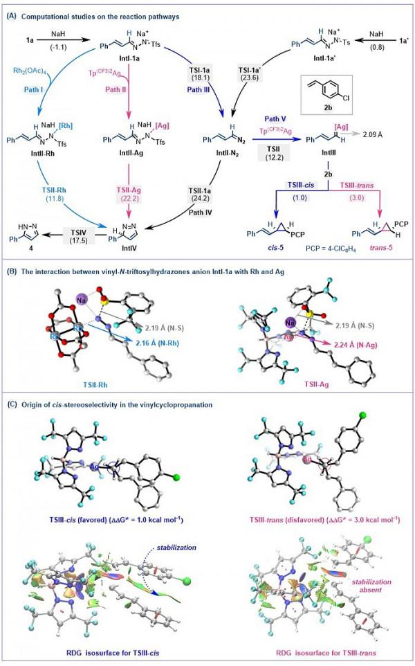烯基銀卡賓 源自磺醯腙 簡便又實用