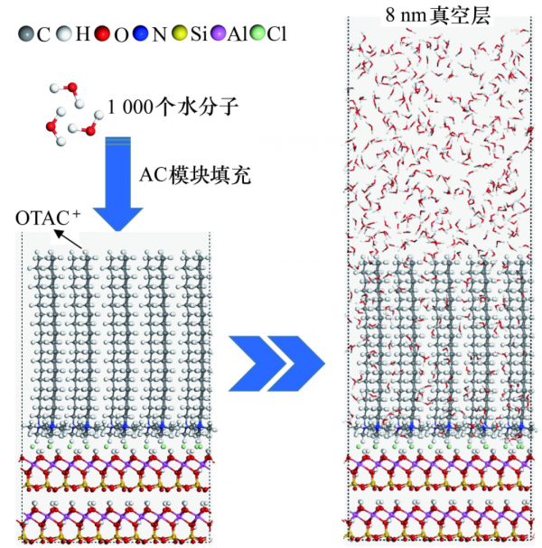 陳軍等：季銨鹽在高嶺石表面吸附的分子模擬研究