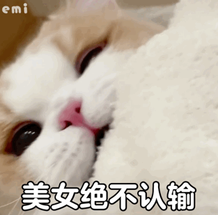 誰能拒絕貓貓表情包