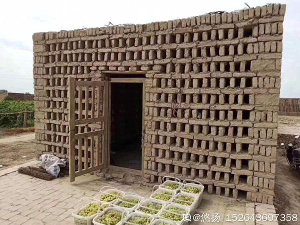 葡萄乾的製作方法太奇特，很少有人見過，做出來口感真的棒