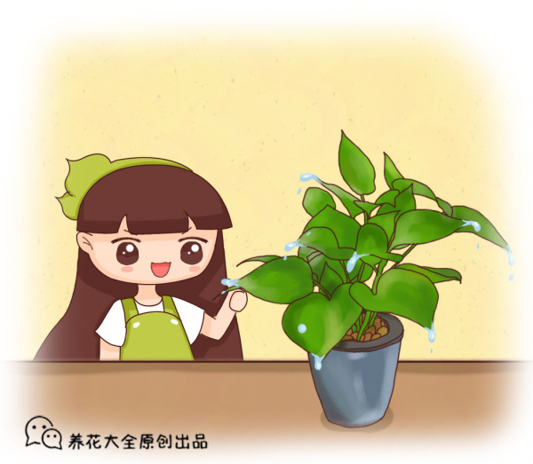 養花澆水十年功，牢記2個小妙招，輕鬆搞定澆水問題