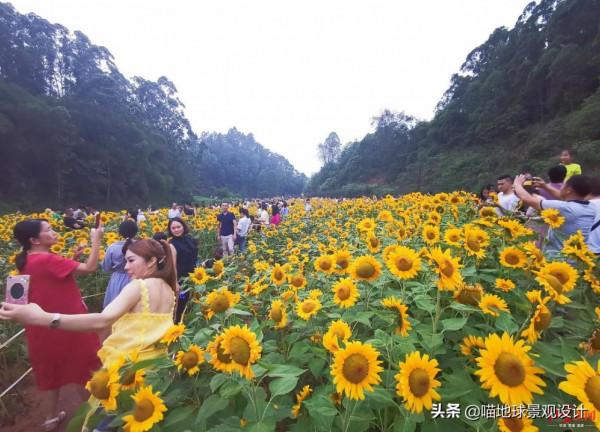 30個美麗鄉村盈利專案推薦