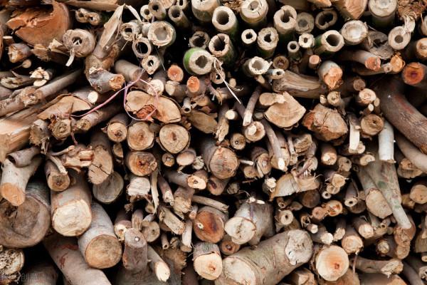 好事:有人在農村大量收購碎木,5種用途可以讓碎木變廢為寶 好事:有人在農村大量收購碎木,5種用途可以讓碎木變廢為寶